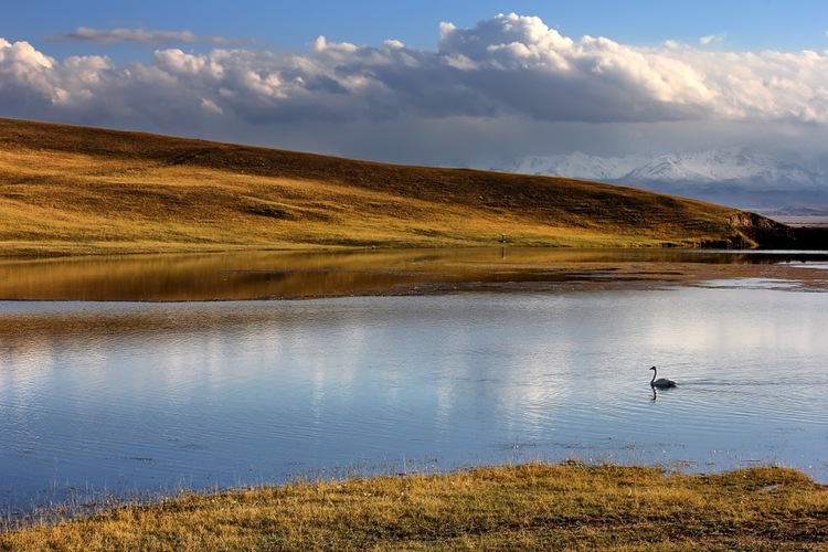 点击大图看下一张：巴音布鲁克