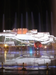 布达拉宫夜景片段