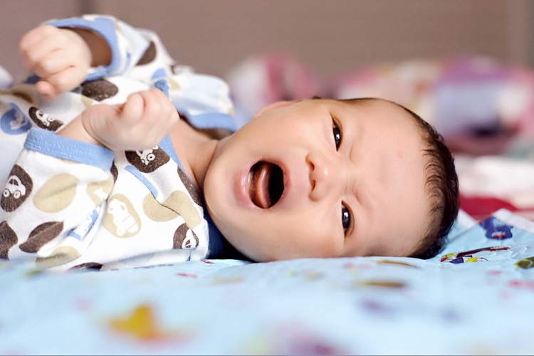 点击大图看下一张：被玩坏了的猫妹