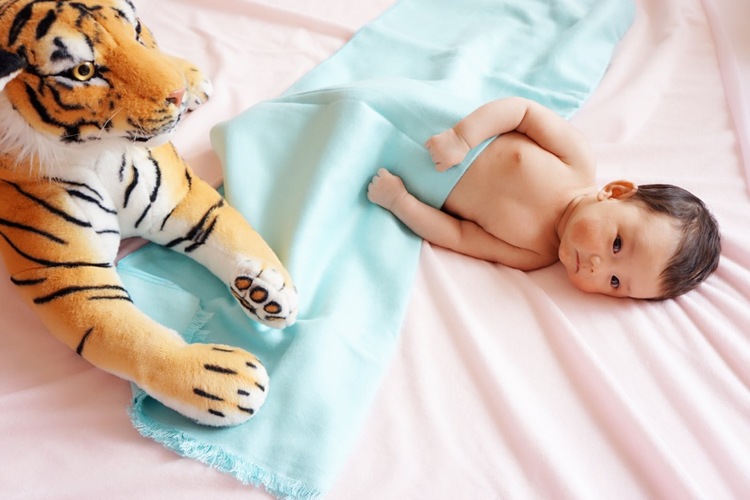 点击大图看下一张:被玩坏了的猫妹