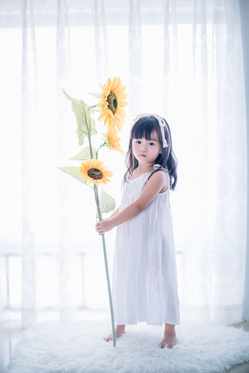 点击大图看下一张：向阳花的小精灵