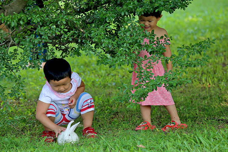 点击大图看下一张：小孩子与小白兔