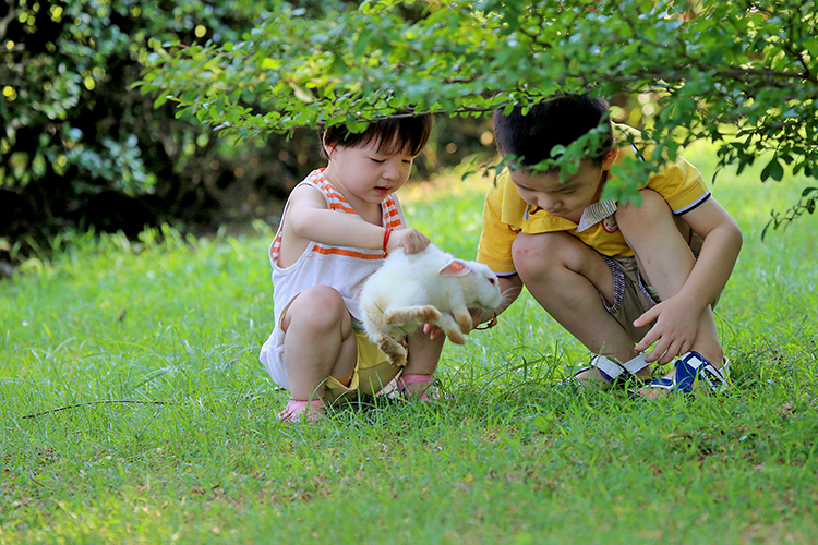 点击大图看下一张：小孩子与小白兔