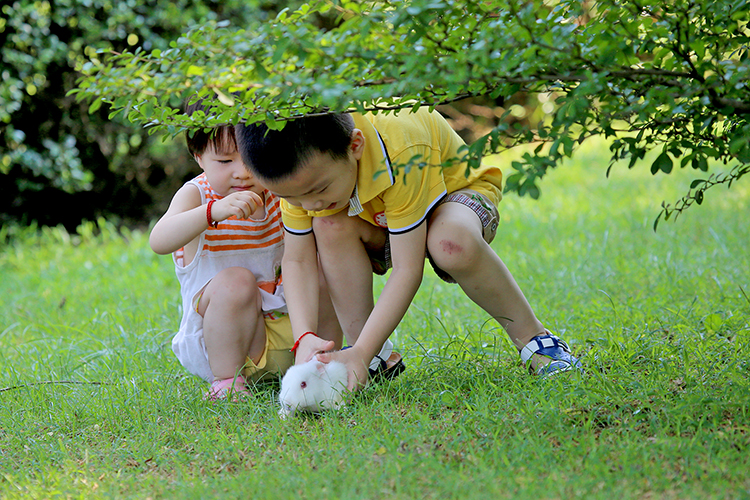 点击大图看下一张：小孩子与小白兔
