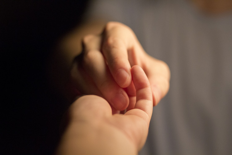 点击大图看下一张：让人感觉温暖的手