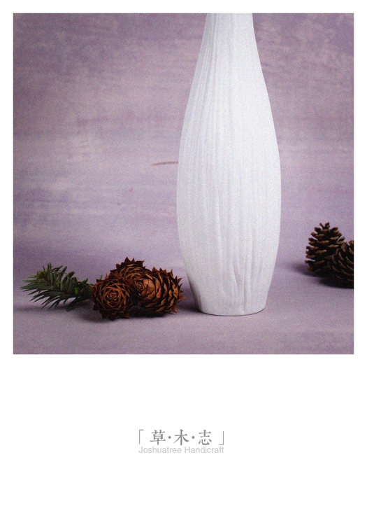 点击大图看下一张：彩色松球 杉树果