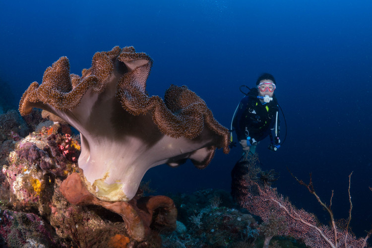 点击大图看下一张：印度尼西亚东部