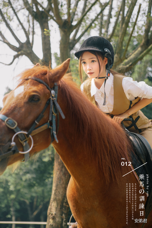 点击大图看下一张:马术的训练日