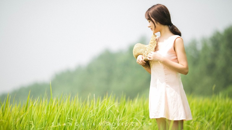 点击大图看下一张：秋日稻香