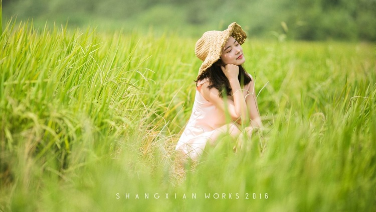 点击大图看下一张：秋日稻香