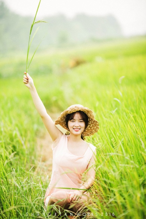 点击大图看下一张：秋日稻香