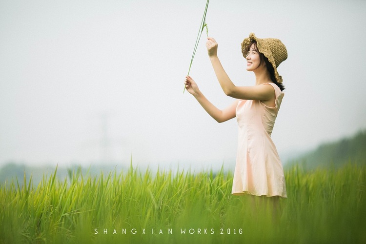 点击大图看下一张：秋日稻香