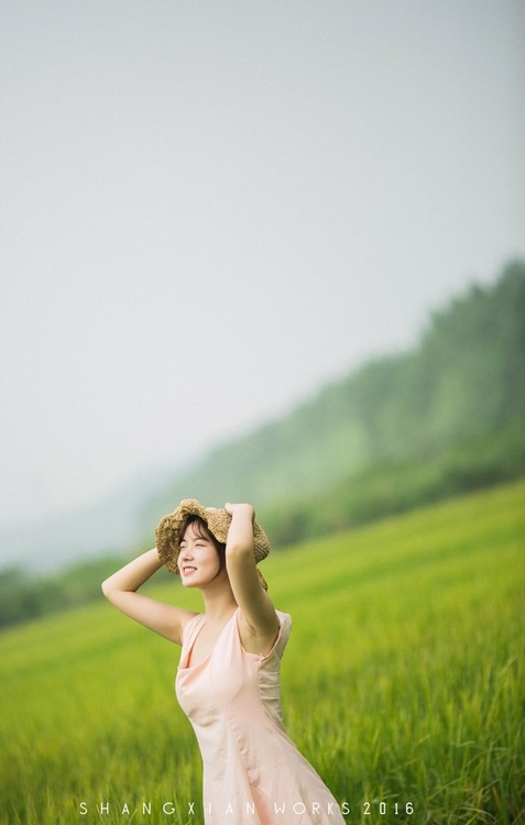 点击大图看下一张：秋日稻香