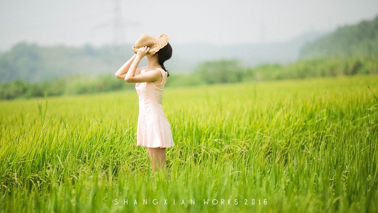 点击大图看下一张：秋日稻香