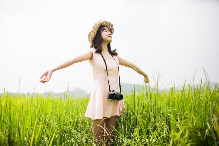 点击大图看下一张：秋日稻香