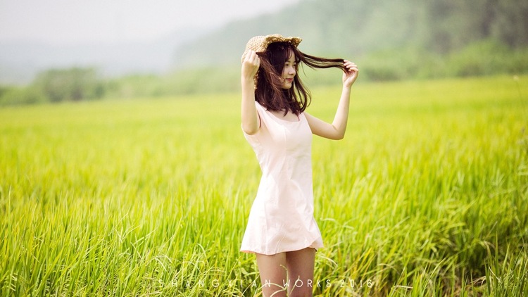 点击大图看下一张：秋日稻香