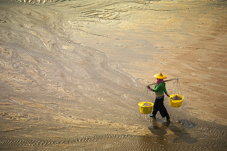 点击大图看下一张：滩涂 纹理 劳作