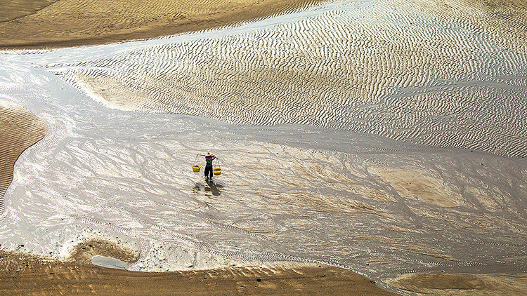 点击大图看下一张：滩涂 纹理 劳作