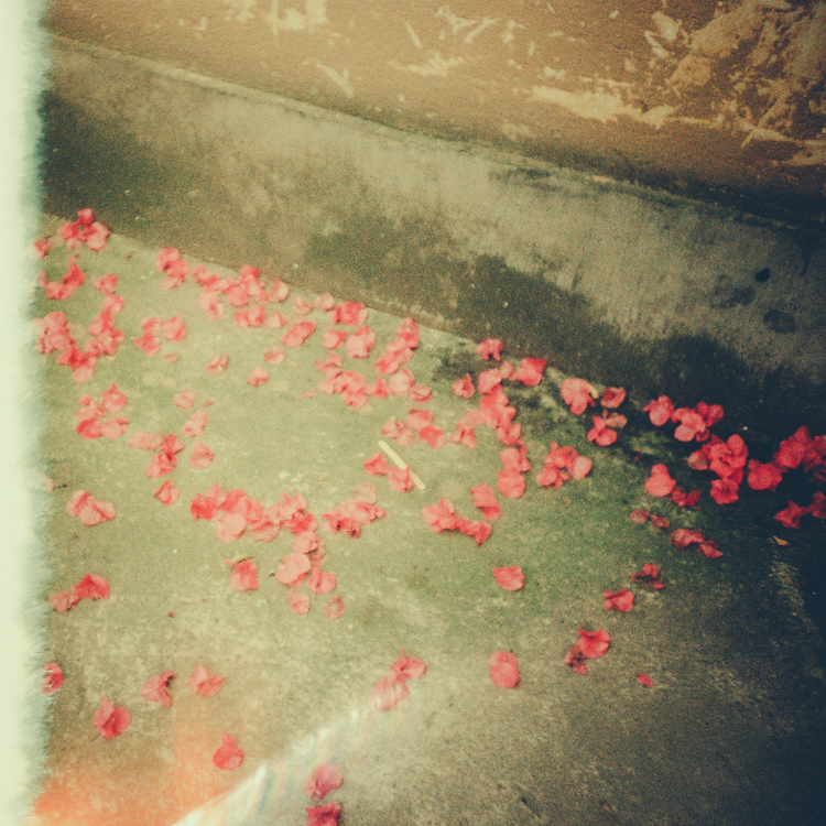 点击大图看下一张：夏天的一部分