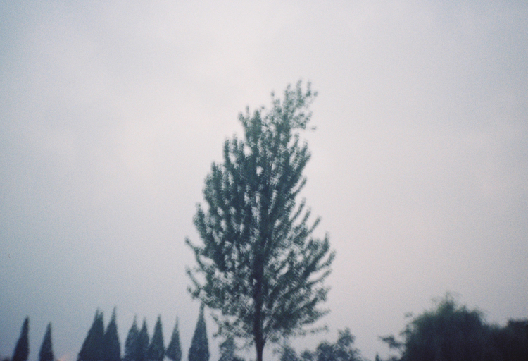 点击大图看下一张：夏天的一部分