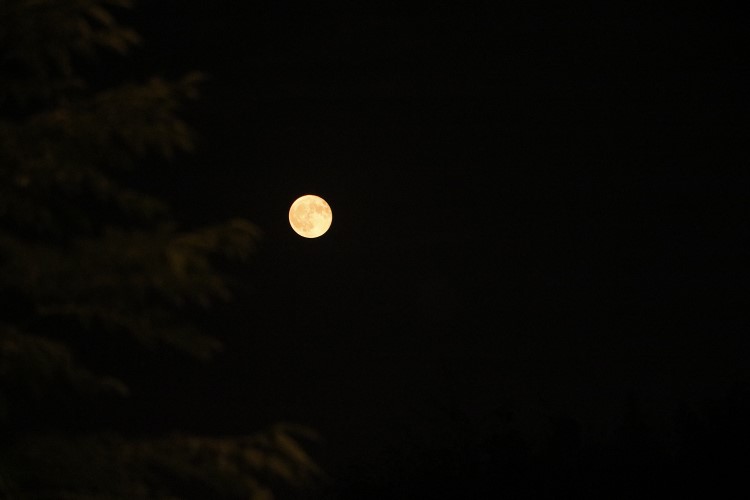 点击大图看下一张:行走的各色生活之中