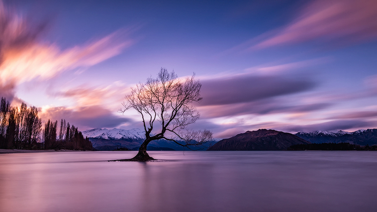 点击大图看下一张:天堂 我曾与你那么近