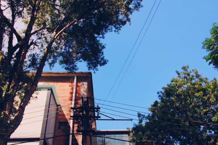 点击大图看下一张：夏日的味道