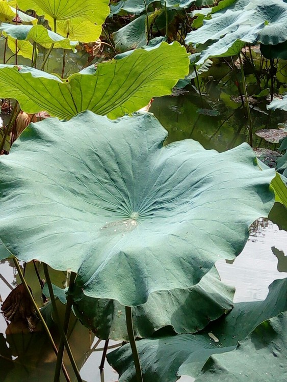 点击大图看下一张：别具一格风情