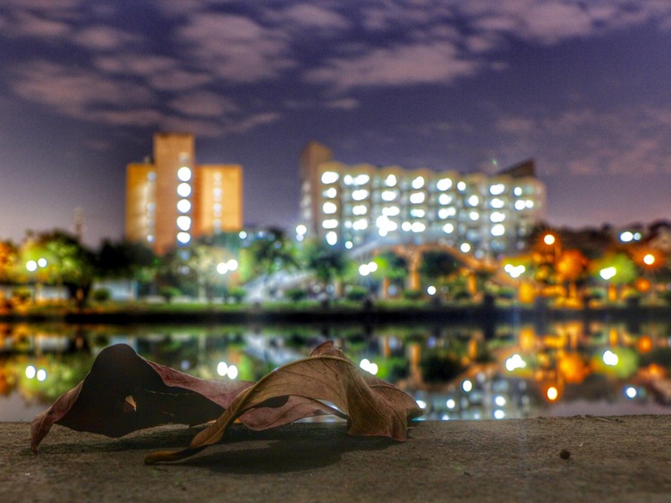 点击大图看下一张：广东培正学院夜景