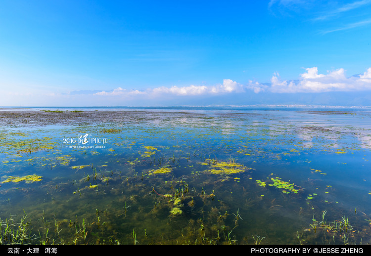 点击大图看下一张:边走边拍旅行照