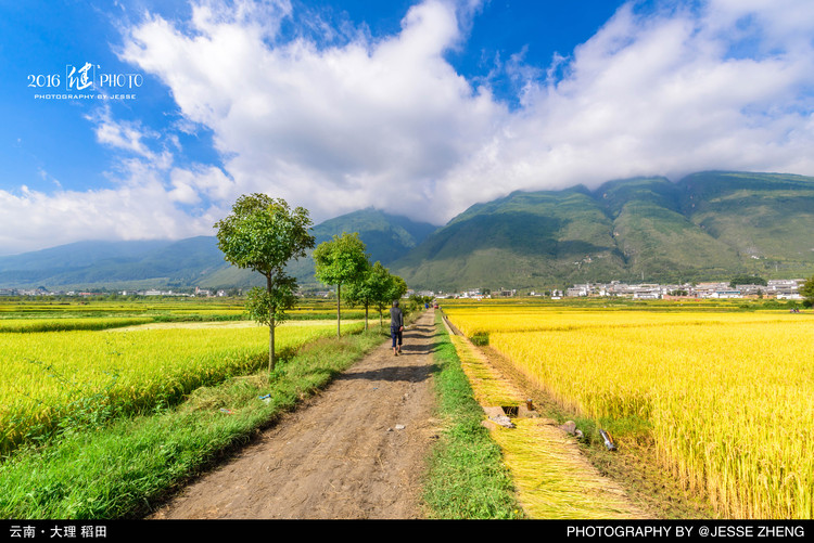 点击大图看下一张：边走边拍旅行照