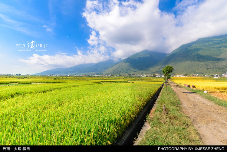 点击大图看下一张:边走边拍旅行照