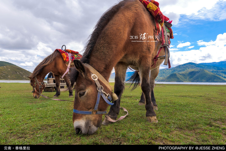 点击大图看下一张：边走边拍旅行照