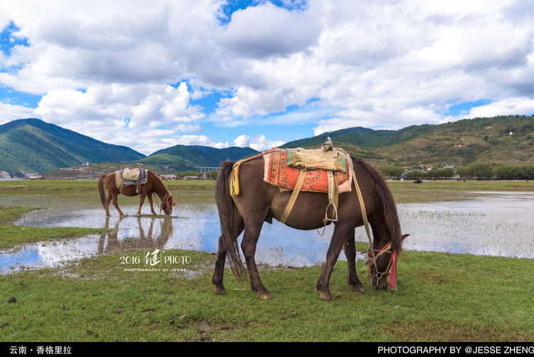 点击大图看下一张：边走边拍旅行照