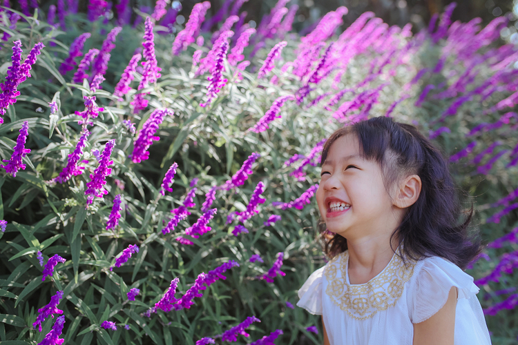 点击大图看下一张：那些花儿