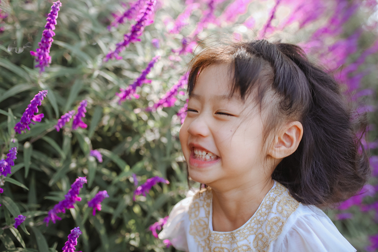 点击大图看下一张：那些花儿