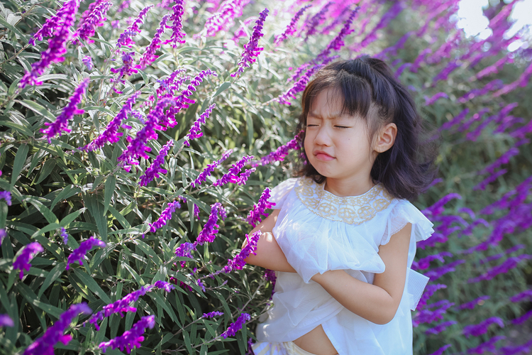 点击大图看下一张：那些花儿