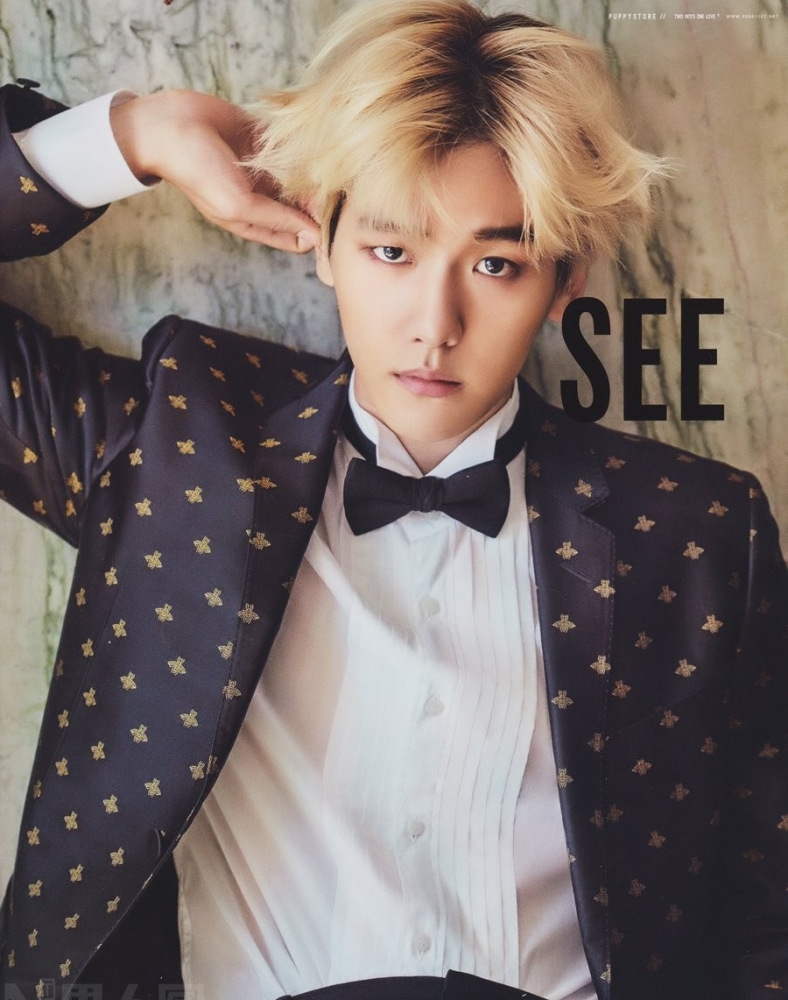 点击大图看下一张:韩国男星边伯贤时尚型男封面写真