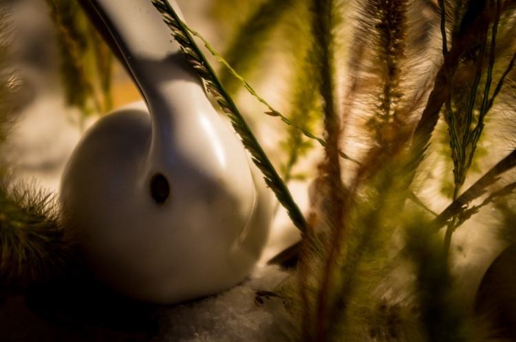 点击大图看下一张：静物摄影