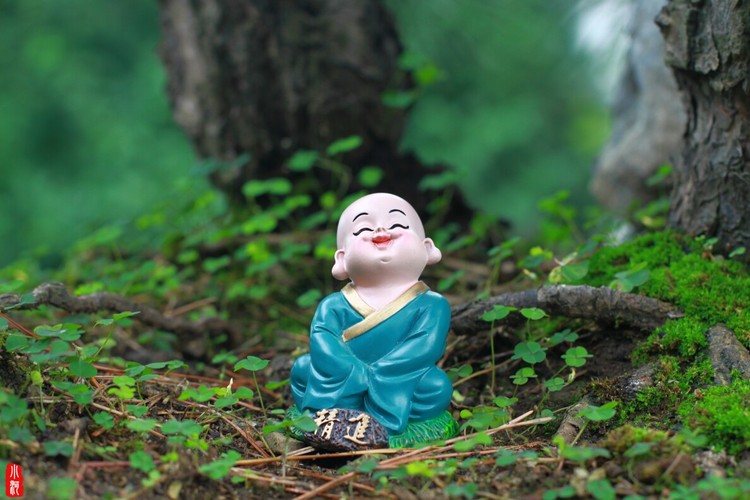 点击大图看下一张：六波罗蜜