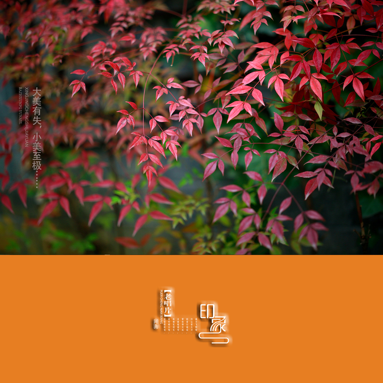 点击大图看下一张：大美有失，小美至极