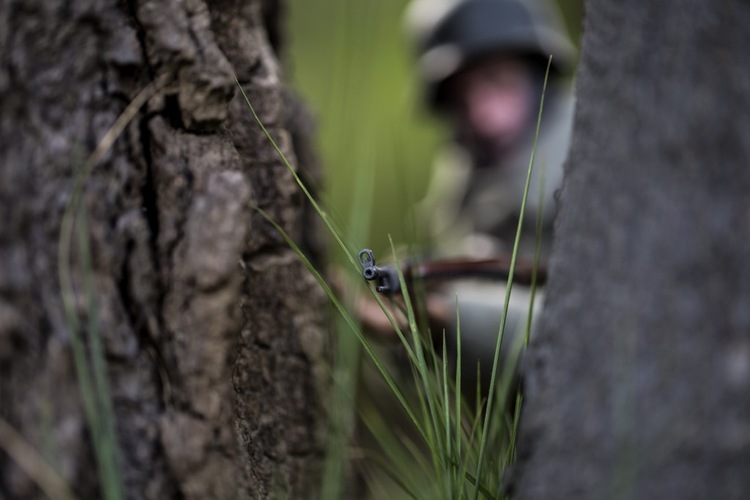 点击大图看下一张：从草地到战壕