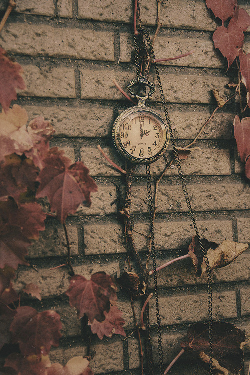 点击大图看下一张:怀表先生的臆想世界