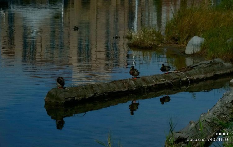 点击大图看下一张：基隆那市的水怪湖