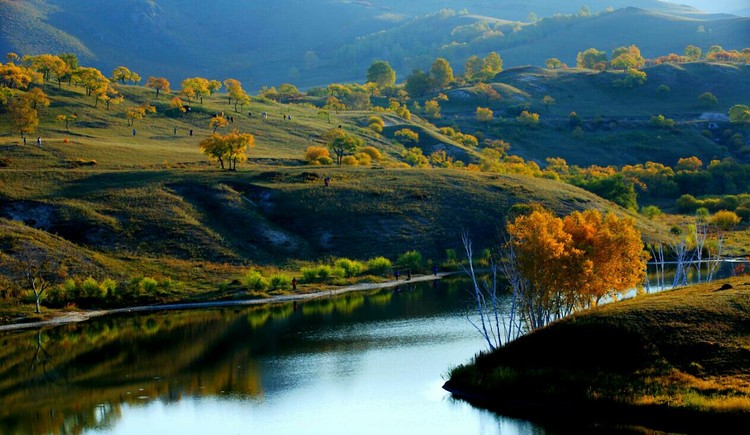 点击大图看下一张：金秋坝上