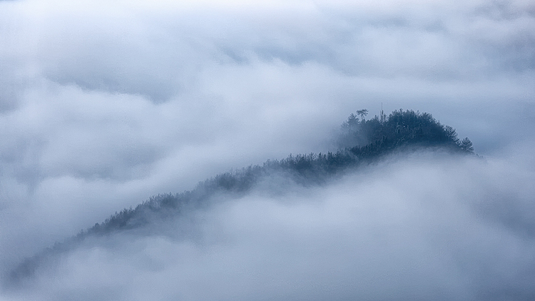 点击大图看下一张：坡山晨雾