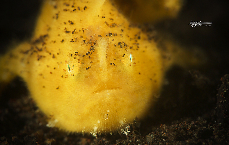 点击大图看下一张：Face To Face