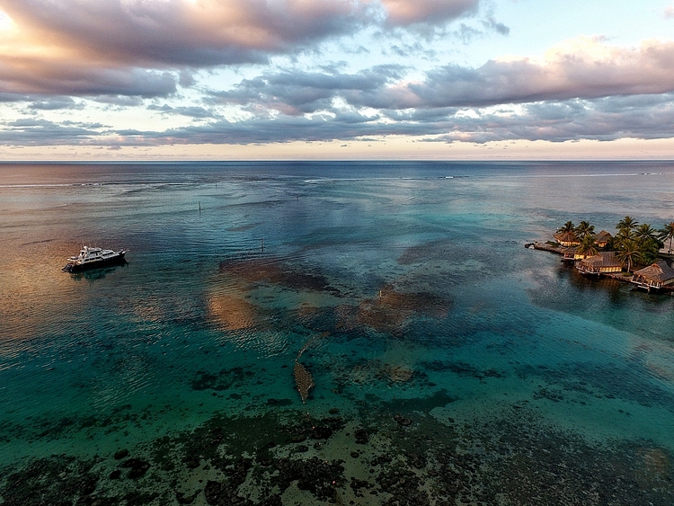 点击大图看下一张:茉莉雅岛洲际酒店航拍