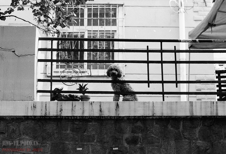 点击大图看下一张：在遇青岛