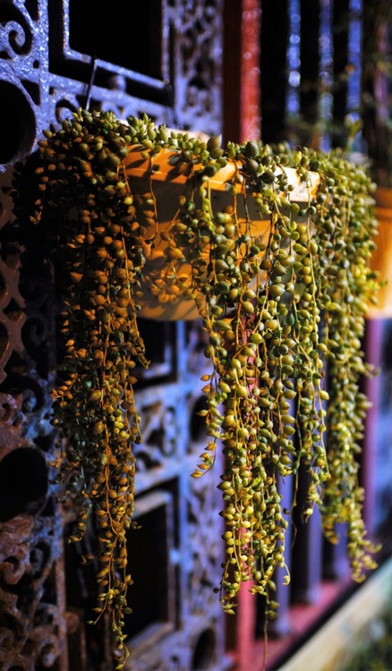 点击大图看下一张:重庆之美 岂能描绘